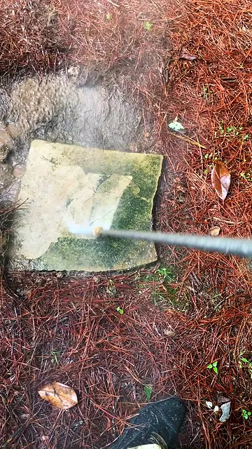 Phone clip of the moss being washed off the stone
